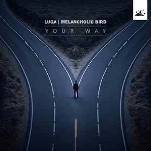 无码野荷唐乱伦
