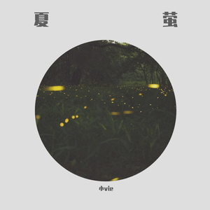 无码野荷唐乱伦
